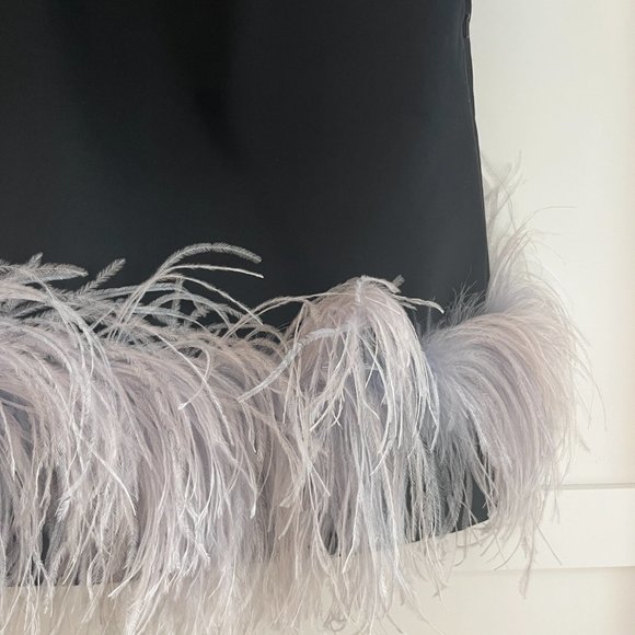 16ARLINGTON Black mini dress with feather trim - Picture 4 of 12
